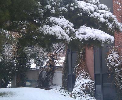 snow_picture